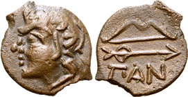 Cimmerian Bosporos, Pantikapaion Æ16.