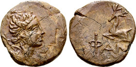 Cimmerian Bosporos, Phanagoria Æ21.