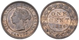 Canada 1886 Cent Bronce KM 7 s.seltene Qualität FDC