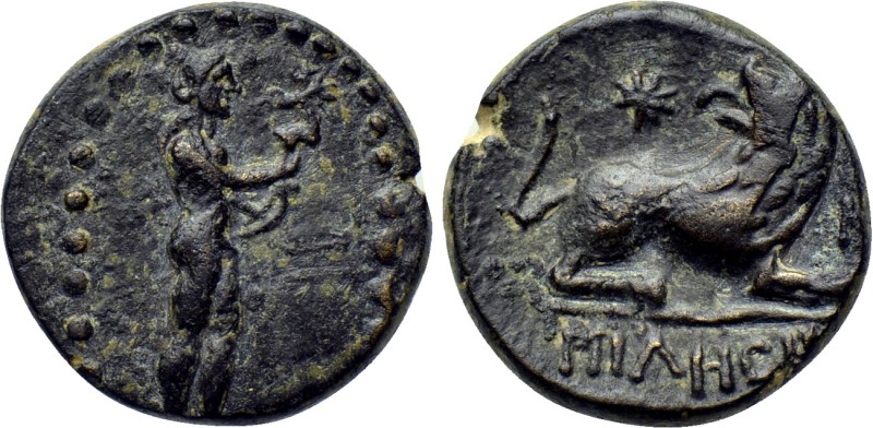 IONIA. Miletos. Ae (39-17 BC). 

Obv: Statue of Apollo Didymos right, with sta...
