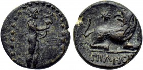 IONIA. Miletos. Ae (39-17 BC).