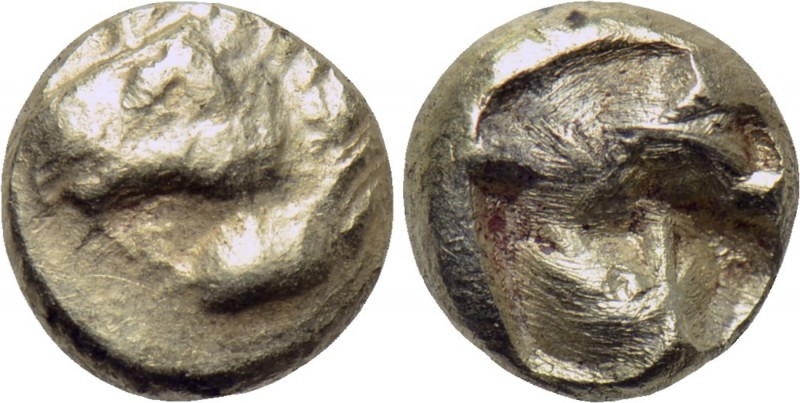 IONIA. Uncertain. EL 1/48 Stater (Circa 600-550 BC). 

Obv: Head of horse left...