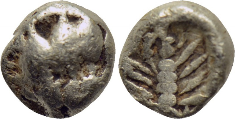 CARIA. Mylasa. EL 1/48 Stater (Mid 6th century BC). 

Obv: Facing head of lion...