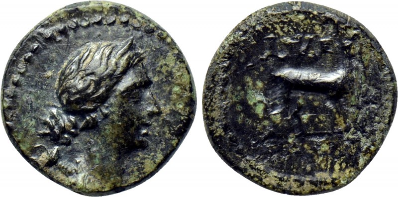 KINGS OF GALATIA. Amyntas (36-25 BC). Ae. Uncertain mint in Galatia, Pisidia or ...