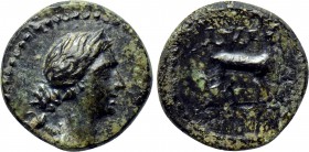 KINGS OF GALATIA. Amyntas (36-25 BC). Ae. Uncertain mint in Galatia, Pisidia or Lykaonia.