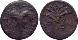 JUDAEA. Bar Kochba Revolt. Ae (132-135 CE). Dated year 2 (133/4 CE).
