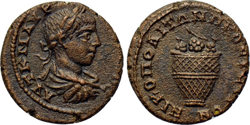 MOESIA INFERIOR. Elagabalus (218-222). Ae. 

Obv: AVT K M AVP ANTΩNEINOC. 
La...