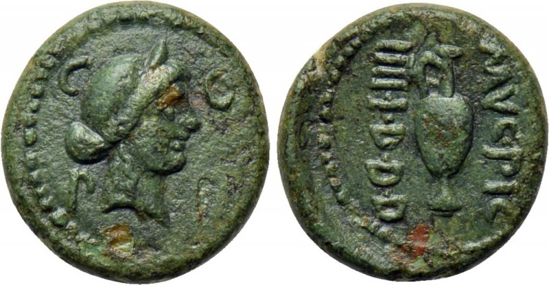 MYSIA. Parium. Augustus (27 BC-14 AD). Ae. Muc- and Pic-, magistrates. 

Obv: ...