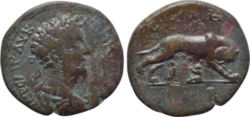 MYSIA. Parium. Commodus (177-192). Ae. 

Obv: IMP CAI M AVR COMMODVS. 
Laurea...