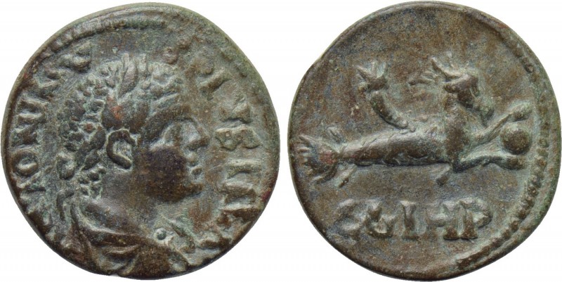 MYSIA. Parium. Caracalla (198-217). Ae. 

Obv: ANTONINVS PIVS FEL A. 
Laureat...