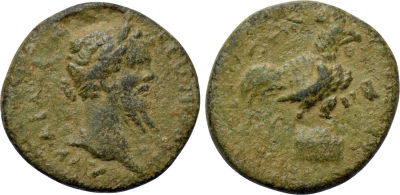 PISIDIA. Antioch? Septimius Severus (193-211). Ae. 

Obv: Laureate head right;...