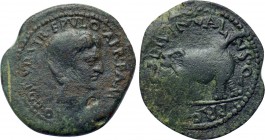 BYZACIUM. Hadrumentum. Africanus Fabius Maximus (Proconsul, 6-5 BC). C. Livineius Gallus, quaestor propraetore. Struck under Augustus, 27 BC-14 AD.