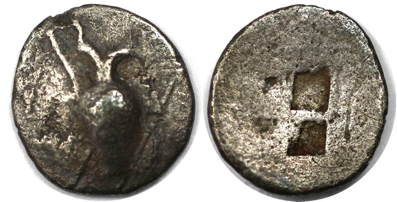 Griechische Münzen, MACEDONIA. TERONE. Hemiobol 480 v. Chr, Vs: Amphora, Rs: Vie...