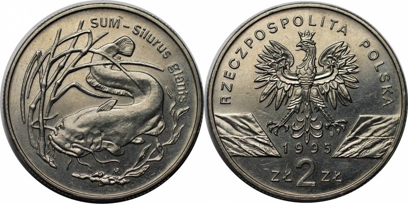 Europäische Münzen und Medaillen, Polen / Poland. Catfish. 2 Zlotych 1995, Kupfe...