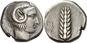 Metapontum
Nomos circa 430-400, AR 7.64 g. Head of Apollo Carneios r. Rev. [META] Ear of barley. Noe 337 (these dies). Jameson 272 (these dies). de L...