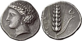 Metapontum
Nomos circa 333-331, AR 7.81 g. Female head l., hair in net behind. Rev. META[Π] Ear of barley with leaf of stalk to r.; in upper field r....