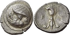 Elis, Olympia
Stater circa 388, 98th Olympiad, AR 11.67 g. Eagle standing l., grasping the back of a ram with its talons and tearing at its neck with...