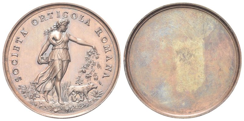 Durante Umberto I, 1878-1900.
Medaglia 1886 opus F. Speranza.
Æ gr. 21,54 mm 3...