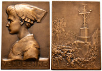 Francia. Medalla. Ae. 90,88 g. VENDEENNE. Grabador: Robert-Mérignac (1849-1933). 64 x 45 mm. EBC. Est...50,00.