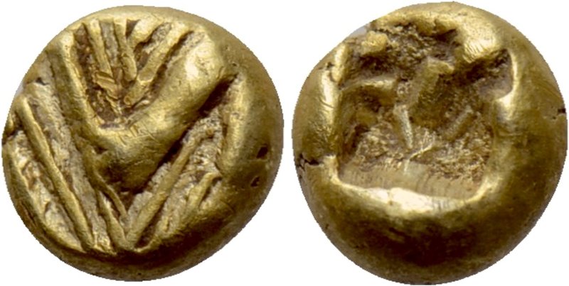 ASIA MINOR. Uncertain. 1/48 Stater (circa 650-600 BC). 

Obv: Hook-like patter...
