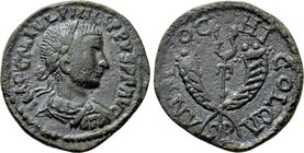 PISIDIA. Antioch. Phillip II (247-249). Ae.
