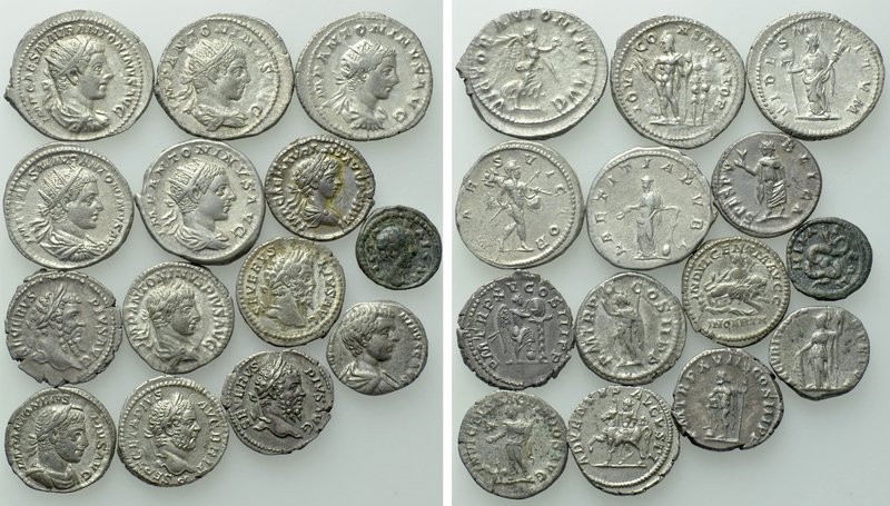 14 Coins of the Severean Dynasty. 

Obv: .
Rev: .

. 

Condition: See pic...