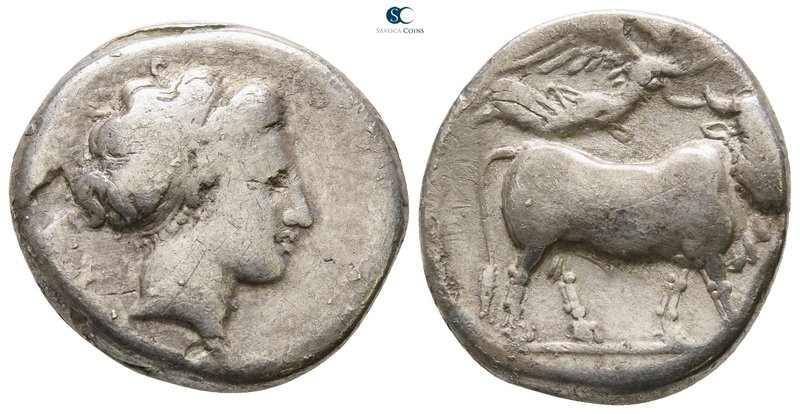Campania. Neapolis circa 300-250 BC. 
Didrachm or Nomos AR

20mm., 6,85g.

...