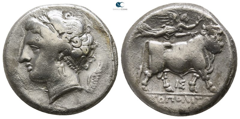 Campania. Neapolis circa 300-280 BC. 
Didrachm or Nomos AR

19mm., 7,31g.

...