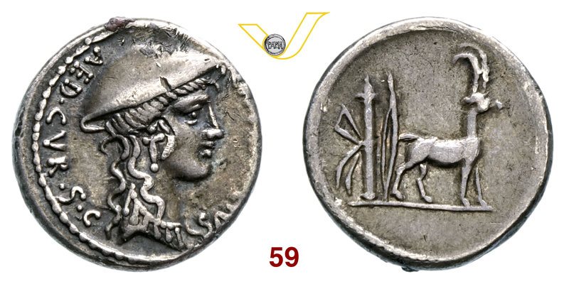 PLANCIA - Cn. Plancius (55 a.C.) Denario. B. 1 Syd. 933 Cr. 432/1 A.V. 465 Ag g ...