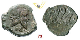 VIBIA - C. Vibius C.f. Pansa (90 a.C.) Asse ibrido con il D/ dell'Asse della Titia Cr. 341/4 ed il R/ della Vibia Cr. 342/7 Ae g 14,17 Inedito q.BB