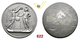 NAPOLEONE I, Console (1795-1804) Grande medaglia uniface An. X (1802) per la Pace di Amiens. Marte, elmato, regge un ulivo che affonda le sue radici s...