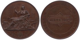 Italien Florenz
 Br - Medaille 1887 Concorso - Agrarie - Regionale in Siena, von F. Peroni, Dm 40,5 mm. Florenz. 30,08g vz/stgl