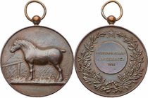 Niederlande
 Bronzemedaille 1912 a.d. Pferdewetkampf Langemarck, mit Original Öse. 36,20g. 45mm. min. Rf. ss