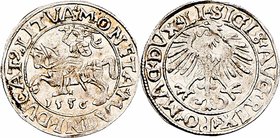 Litauen Sigismund II. 1547 - 1572
 1/2 Groschen 1556 1,26g. Saurma 5568 stgl