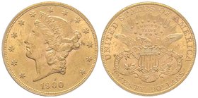 20 Dollars, Philadelphie, 1900, AU 33.43 g. 
Ref : KM#74.3, Fr.177 
PCGS MS61