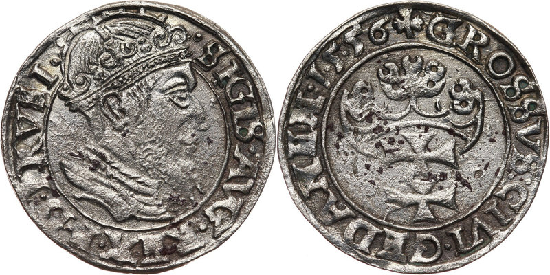 Zygmunt II August, grosz 1556, Gdańsk
 Odmiana z dużą głową. Ładnie wybity, z r...