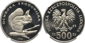 PRL, 500 złotych 1985, Wiewiórka, PRÓBA, nikiel