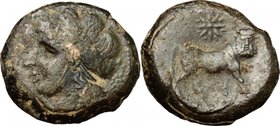 Greek Italy. Samnium, Southern Latium and Northern Campania, Cales. AE 21mm, 265-240 BC. D/ Head of Apollo left, laureate. R/ Man-headed bull right; a...