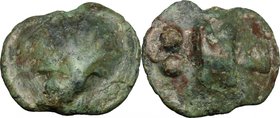 Greek Italy. Northern Apulia, Luceria. AE Cast Biunx, c. 220 BC. D/ Shell. R/ Astragalos; above, two pellets; below, L. HN Italy 673. Vecchi ICC 341. ...
