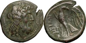 Greek Italy. Bruttium, The Brettii. AE 22mm, 214-211 BC. D/ Head of Zeus right, laureate. R/ Eagle standing left, head turned right, wings open. HN It...