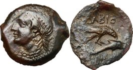 Continental Greece. Skythia, Olbia. AE 20mm, 380-360 BC. D/ Head of Demeter left. R/ Eagle and dolphin right. SNG BM Black Sea 403. AE. g. 3.63 mm. 20...