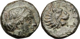Greek Asia. Troas, Antandros. AE 8mm, 400-284 BC. D/ Head of Apollo right, laureate. R/ Head of lion right. SNG Cop. 219. AE. g. 0.72 mm. 8.00 VF.