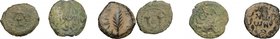 Judea, Jerusalem mint. Multiple lot of three (3) unclassified AE Prutah, 1st century AD. AE. F.