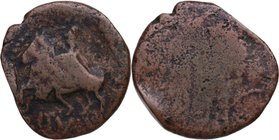 150-50 aC. Ituci. As. AB 1599. Ae. 7,68 g.  Anv.: Jinete con rodela a izquierda, debajo ITVCI. Rev.: Dos espigas. AE. AB-1144.. BC+. Est.180.