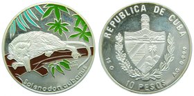 Cuba. 10 pesos. 2005. (km#815). 15 gr ag. Selonodon cubanus Multicolor. 
Grado: proof