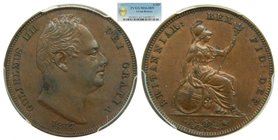 Gran bretaña . Farthing 1837 William IV (km#705) cooper. Great Britain. PCGS MS63 BN
Grado: MS63