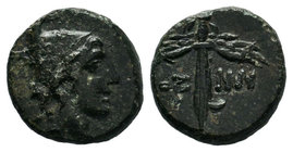 Paphlagonia. Sinope 100-50 BC. Bronze Æ

Condition: Very Fine

Weight: 2.77gr
Diameter: 15.16mm

From a Private UK Collection.