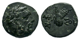 PONTOS. Amisos. (Circa 95-90 or 80-70 BC). Struck under Mithradates VI Eupator.AE Bronze

Condition: Very Fine

Weight: 1.43gr
Diameter: 11.98mm

From...
