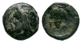 Aeolis. Temnos circa 200 BC. Bronze Æ

Condition: Very Fine

Weight: 1.26gr
Diameter: 11.25mm

From a Private Dutch Collection.