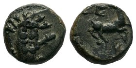 Pisidia. Selge circa 200-0 BC. 

Condition: Very Fine

Weight: 2.34gr
Diameter: 13.49mm

From a Private Dutch Collection.